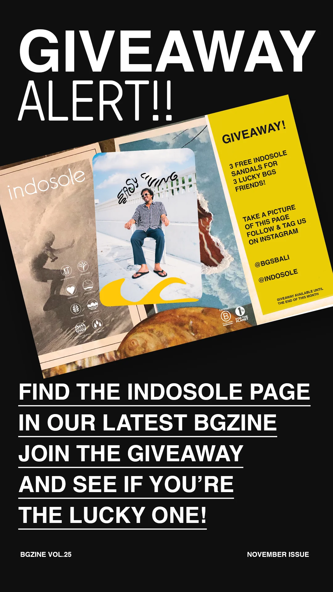 BGZine Vol #26